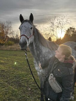Pronajem úžasné šimličky - 12