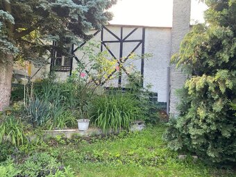 Prodej zahrady s chatou Žatec - 12