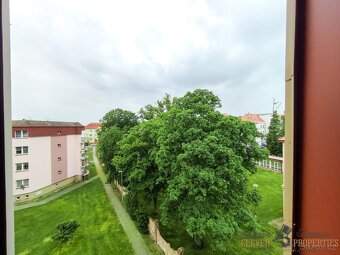 Pronájem slunného bytu 4+1, 108 m2 - Čáslav-Nové Město - 12