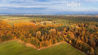 Prodej pozemek Lesy, 13718㎡ - 12