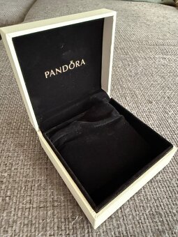 Stříbrný dvojitý náramek Pandora - 12