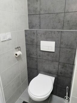 Pronájem 1kk Židlochovice - 12