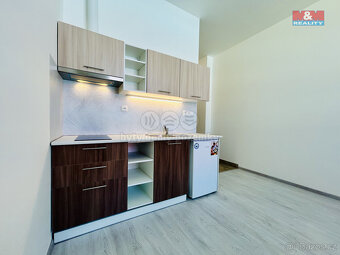 Pronájem bytu 1+kk, 24,5 m², Janovice n. Úhlavou - 12