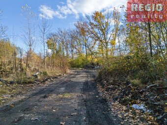 Prodej pozemku 6603 m2, Hrušov - 12