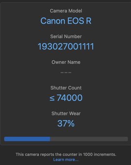 Canon EOS R - 12