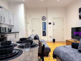 Pronájem bytu 1+kk – 30 m² - 12