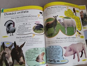 naučné a zábavné pro děti - 12