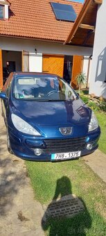 Peugeot 307 - 12