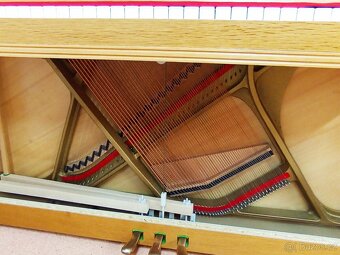 Aspheim -Dovoz zdarma i na Štědrý den 24.12. - 12