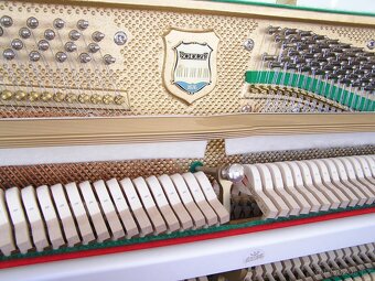 Prodám pianino Scholze - 12