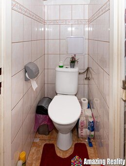 Prodej zděného bytu s plechovou garáží, v obci Mileč - 12