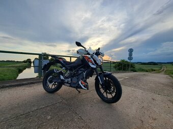 KTM 125 DUKE 2014 - 12