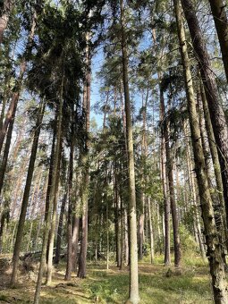 Prodám pozemky v k.ú. Drahov - 12