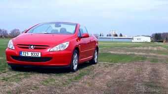 Peugeot 307 cc cabrio - 12