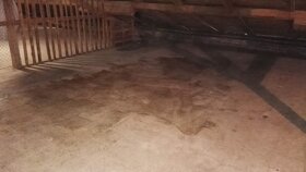 PRONAJMEME skladové koje 20-30m2 - 12