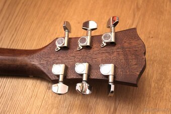 Elektroakusticá kytara Dowina Danubius GACE - 12