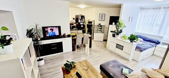 Pronájem prostorné 1kk 45m2 v Břeclavi - Poštorné - 12
