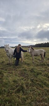 Letošní hřebeček - 12