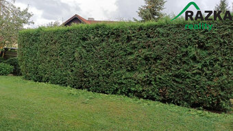 Rekreační domek 3+kk 80m², pozemek 1395m² obec... - 12