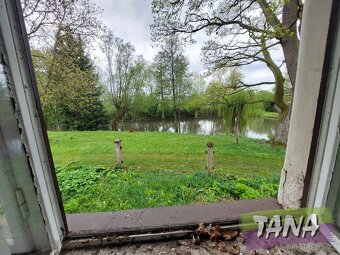 Prodej podílu o velikosti 1/2 - Zemědělská usedlost v Českém - 12