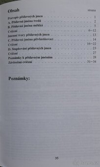 Slovník,  Český jazyk, pravopis - 12