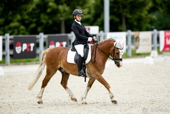 Sepík - stáj, kde se váš talent rozvine naplno - 12