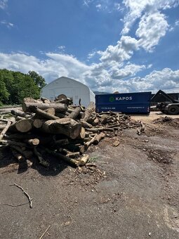 Prodej štípaného dřeva nebo kulatina - 12