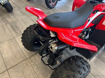 CF Moto Gladiator X110 LE 2026 - 12