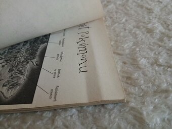 Pokémon (2 ks) - 12