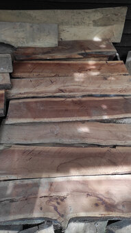 Staré suché listnaté dřevo - 12