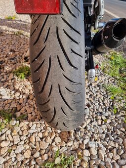 Suzuki SFV Gladius 650 - 12