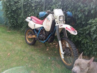 Gilera RC 250 2T RALLY 1985 - 12