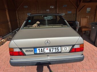 Mercedes Benz w124 coupe 300 ce - 12
