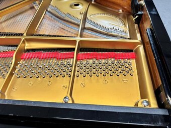 Steinway & Sons Modell D- 274 cm Only now super price - 12