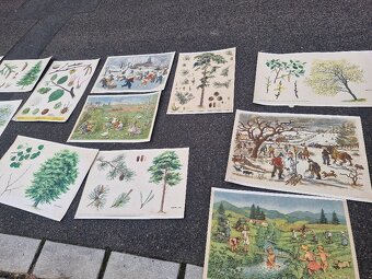 Stare skolni plakaty 50/60 leta - 12