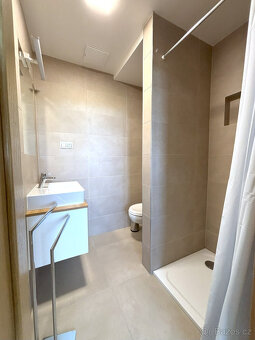 Pronájem bytu 3+kk, Bolevecká, Plzeň, 25400 Kč/měs, 89 m2 - 12