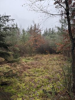 Prodám pozemky v k.ú. Veliny - 12