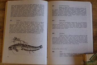 Rybářské knížky - 12