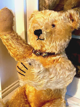 Starý plyšový medvídek Steiff s knoflíkem, výška 46 cm, 20. - 12