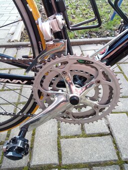 Schwinn Fastback - 12