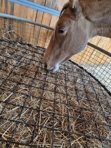 Kovový kryt na příkrmiště/ víko na příkrmiště - 12