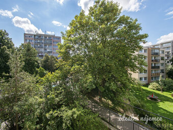 Pronájem bytu 2+kk, V Zápolí, Michle, 15500 Kč/měs, 40 m2 - 12