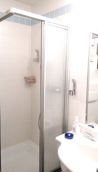 Ubytování - pronájem apartmán Šumava / Bavorský les - 12