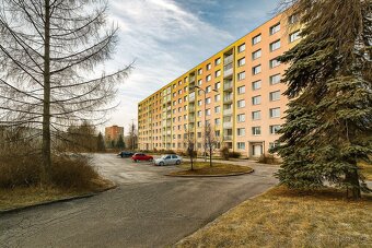 Pronájem, byt, 1+1, balkon, 42 m², Chomutov, Písečná ul. - 12