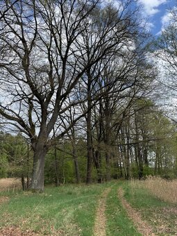Prodám pozemky v katastrálním území Mníšek - 12