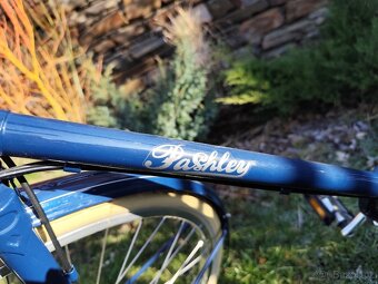 Městské kolo Pashley Briton - 12