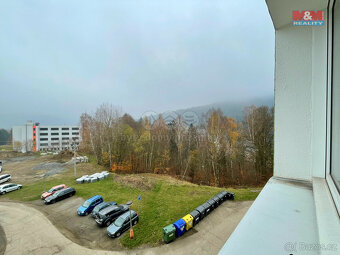 Prodej bytu 1+kk, 28 m², Tanvald, ul. Horská - 12
