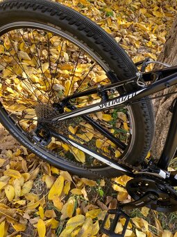 Kolo Specialized 29 - 12