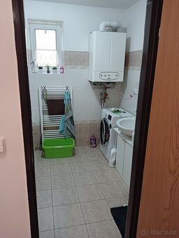 Pronajmu byt 2+1 - 12