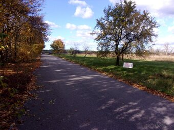 Prodám zajímavý pozemek v katastru Rohatec 3028/125 - 12